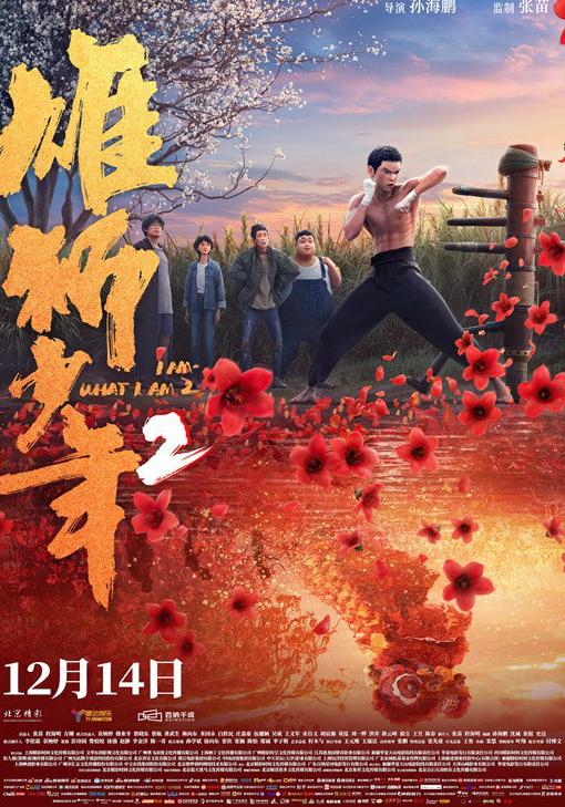 国外能看国内电视台吗现在教程