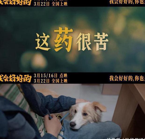 交管12123在国外登录不了教程