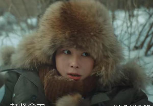 在国外用不了12123教程