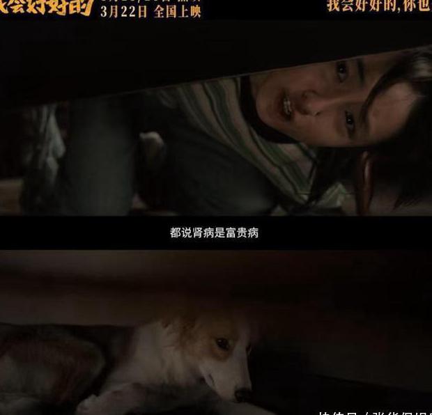 交管12123在国外登录不了教程