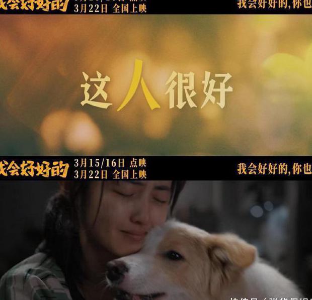 交管12123在国外登录不了教程